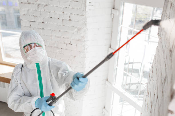 Best Comprehensive Air Testing for Mold Contaminants  in Grand Haven, MI