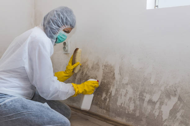 Best Air Quality Testing for Mold Spores  in Grand Haven, MI