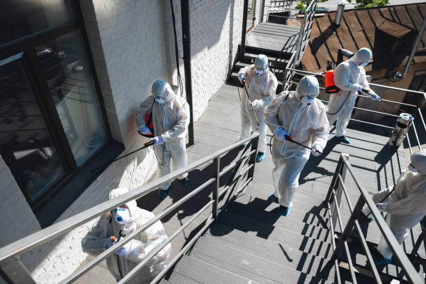 Best Mold Removal for HVAC Installations  in Grand Haven, MI
