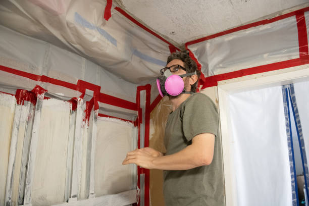 Best Post-Construction Mold Inspection  in Grand Haven, MI
