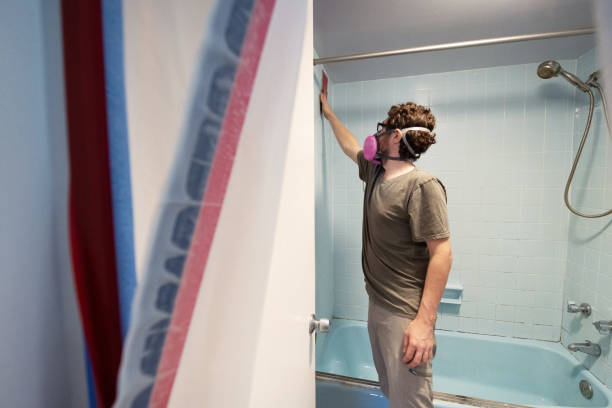 Best Basement Mold Removal  in Grand Haven, MI