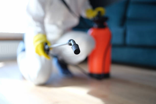 Best Real Estate Mold Inspection  in Grand Haven, MI