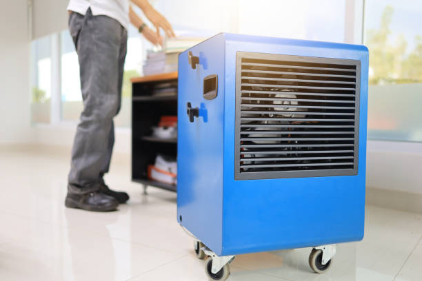 Best Indoor Air Quality Assessment  in Grand Haven, MI