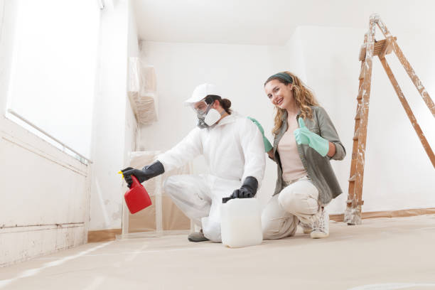 Reliable Grand Haven, MI Mold Removal Solutions